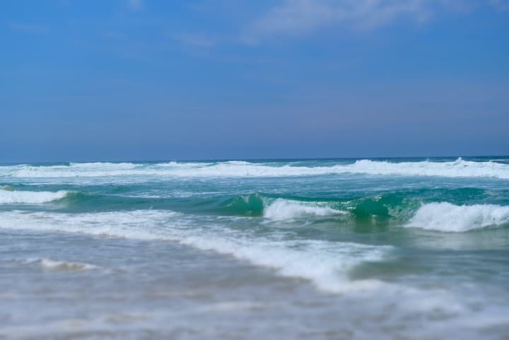 Surf and Pray 2022